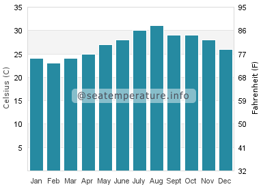 Water temperature in Al Wajh