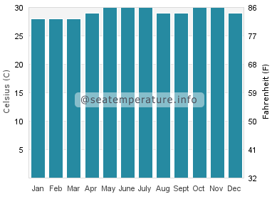 Water temperature in Apo Reef