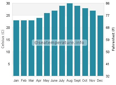 Water temperature in Marsa Shagra