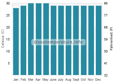 Water temperature in Surin Islands