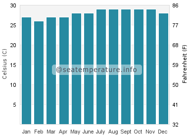 Water temperature in The Bottom