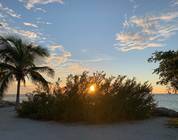 Côte du Golfe de Floride