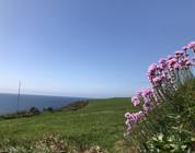 Ballycotton Cliff Walk