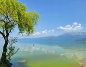 Pogradec