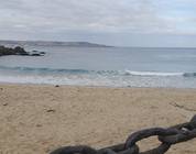 playas amarilla, las cruces
