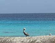 Bonaire