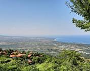 Pieria