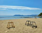 Zante