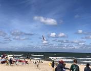 Polen