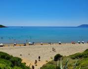 Zante