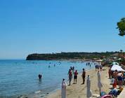 Zante