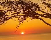 Amanecer