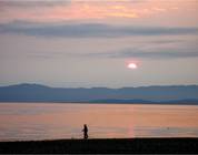 A Fly Fisher Wades Along the Beach Searching for His Quarry