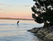 Ontario