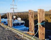 Low tides