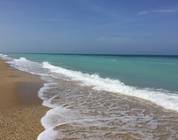 Marche