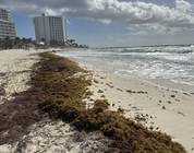 Northern most point of the hotel zone Cancun. Sargassum is thick, waves are very high and dangerous.