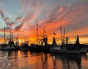 Shem Creek, Mount Pleasant, SC. Unbelievable night sky with shimp boats in the foreground!