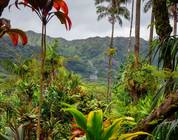 Kauai
