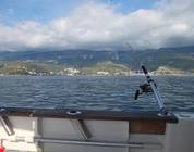 Budva