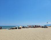 Pieria