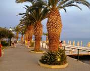 Evia