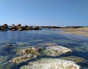 Chypre