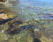 Kroatien