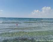 Chypre