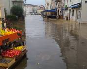 Trg Frane Petrića