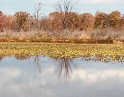 Presque Isle State Park,  Erie Pennsylvania