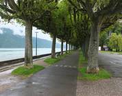 Francia
