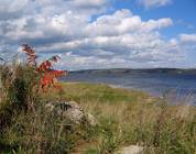 Penobscot River Stockton viewing Verona Island