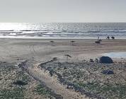 Sidi Kaouki Beach