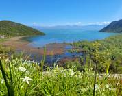 Lake Skadar