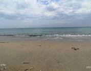 Aljazeera beach