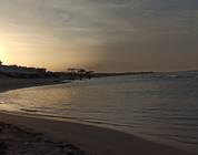 Libia