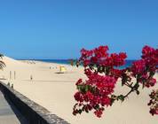Fuerteventura