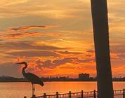 Florida