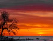 Green Flash seen from Bradford Beach