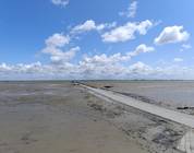 Passage du Gois