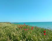 Bulgarien