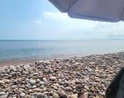 Beach summer