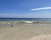 New Jersey