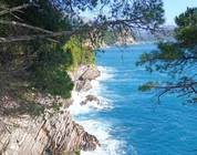 Budva Riviera