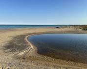 Dead River Closed Mouth Sand Band