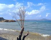 Strand im November