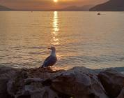 Puesta de Sol