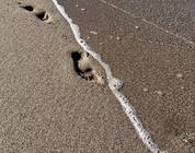 Walking on the beach