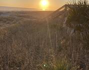 Sunset February 4 2025